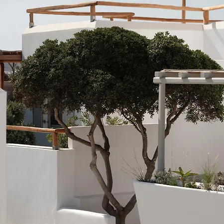Akria Seaside Hotel Naousa (Paros)